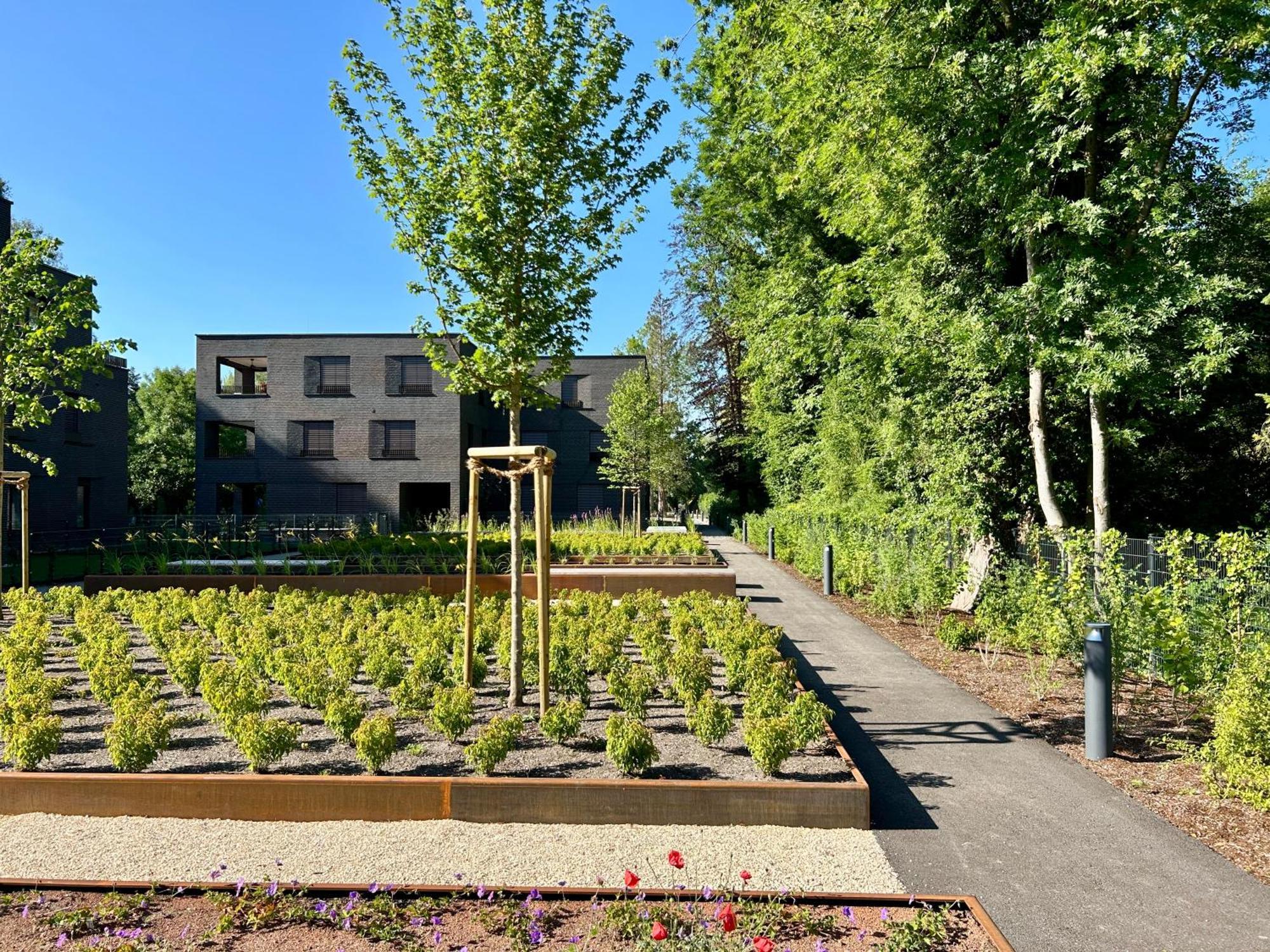 Seeparkvilla - Wohlfuehlen Am See Und Im Gruenen Bregenz Esterno foto
