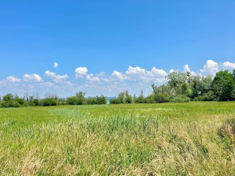 Seeparkvilla - Wohlfuehlen Am See Und Im Gruenen Bregenz Esterno foto