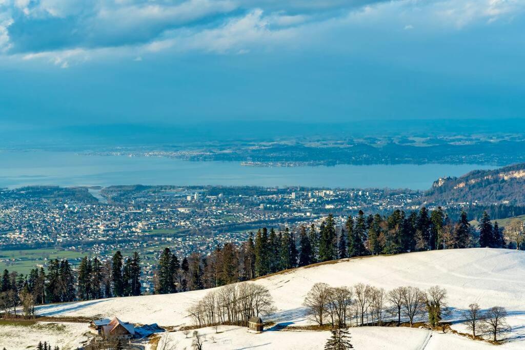Seeparkvilla - Wohlfuehlen Am See Und Im Gruenen Bregenz Esterno foto