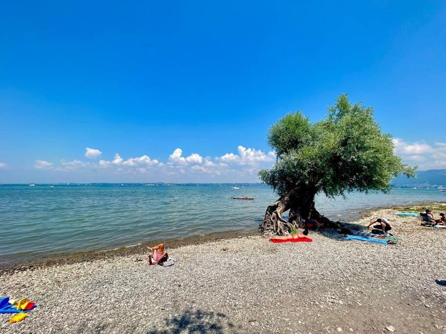 Seeparkvilla - Wohlfuehlen Am See Und Im Gruenen Bregenz Esterno foto