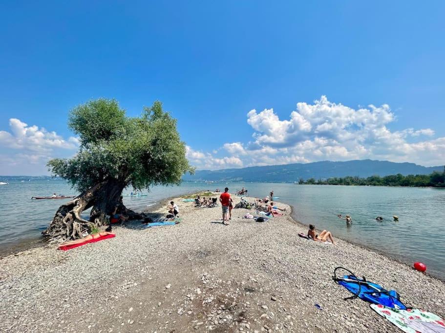 Seeparkvilla - Wohlfuehlen Am See Und Im Gruenen Bregenz Esterno foto